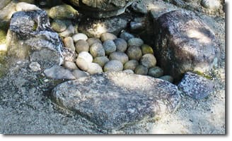 Drain area stones – Photo by Lee Schneller Sligh