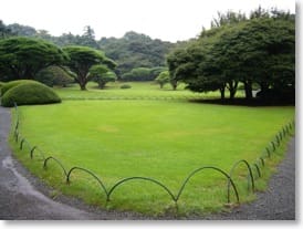 The lawns at Shinjuku-gyoen, Tokyo.