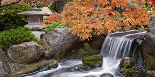 Anderson Gardens waterfall & maple