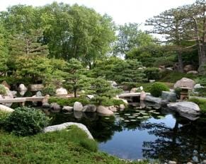 Como Park Japanese garden pond