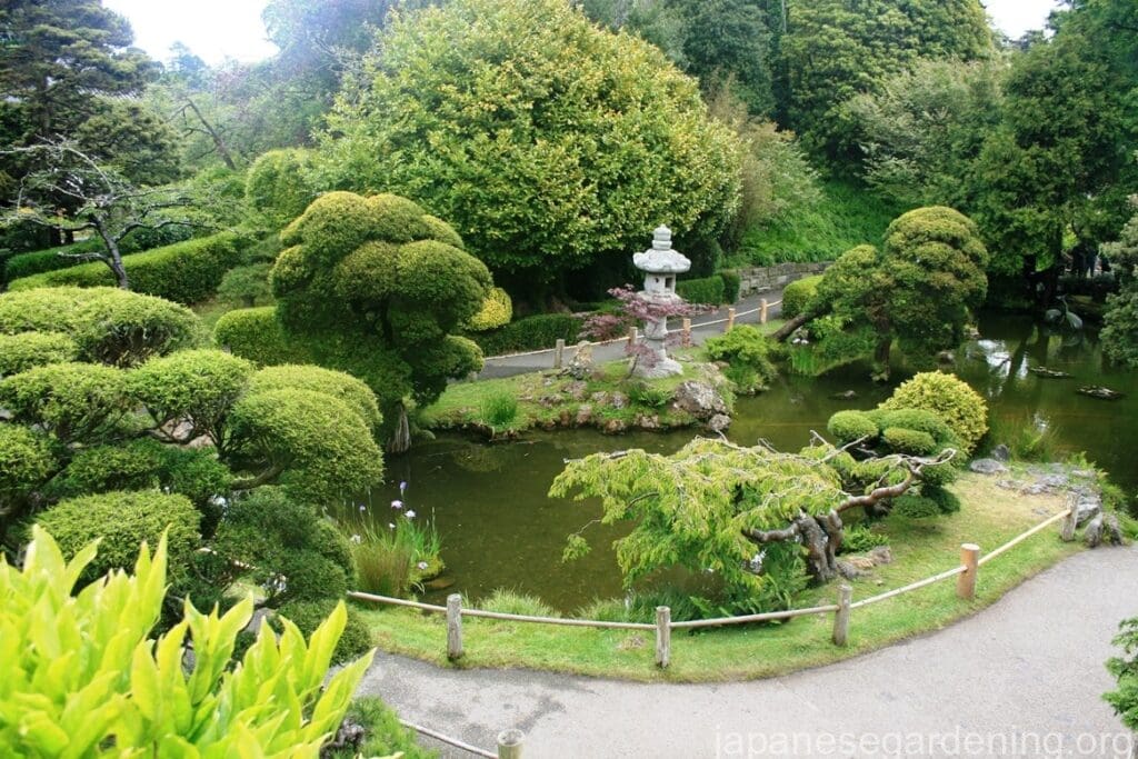 San Francisco pond