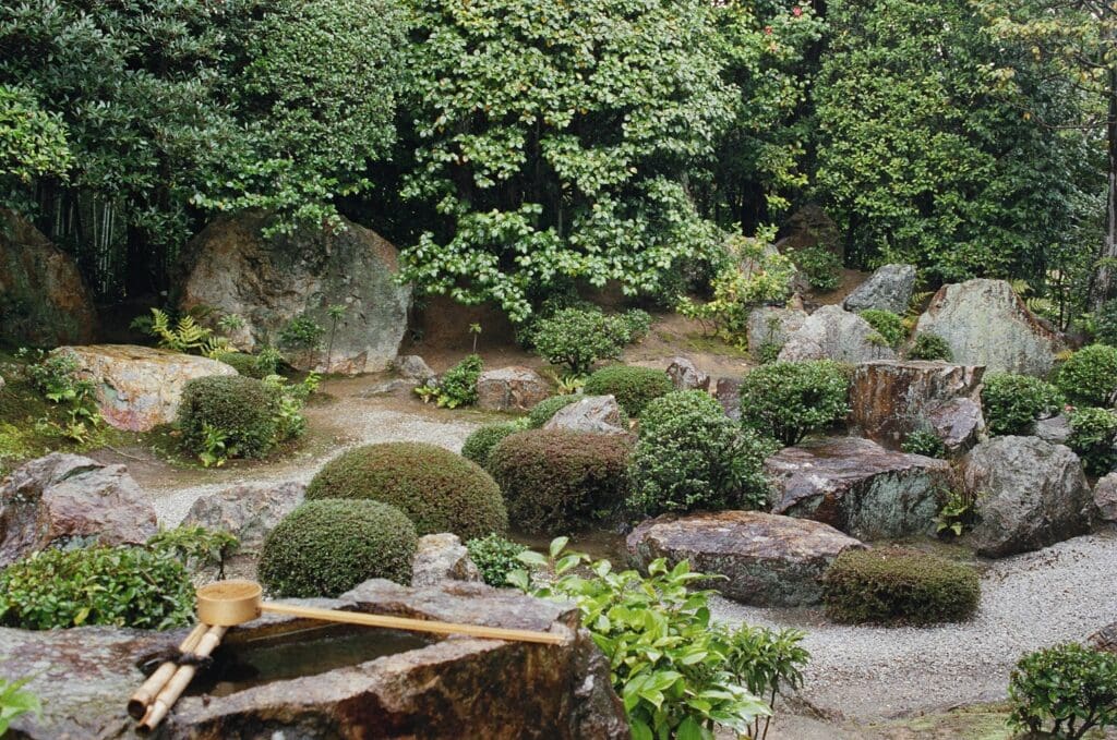 Photo: The “painterly” garden, Taizō-in, Kyoto