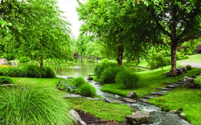 Water Quality Management in the Japanese Garden at Missouri Botanical Garden