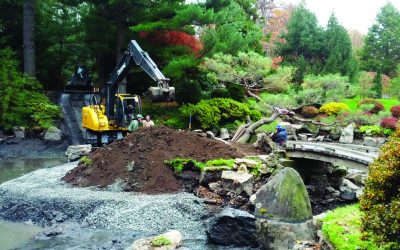 Shofuso Garden Reclaimed From Tropical Storm Damage