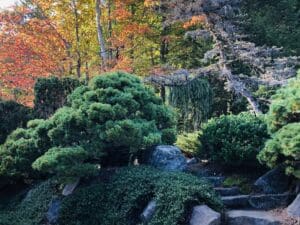 NAJGA North American Japanese Garden Association