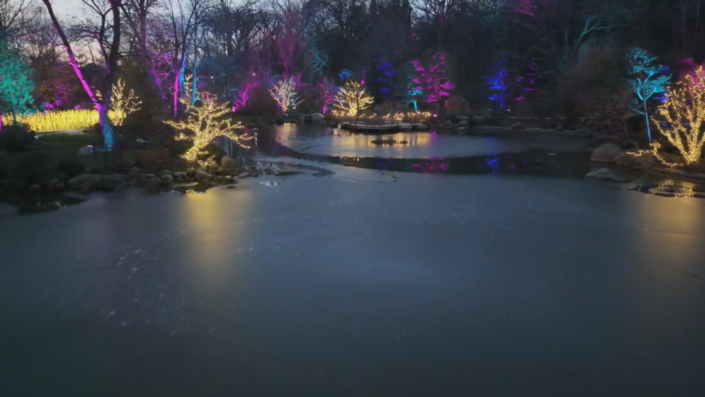 Anderson Gardens holiday lighting across pond