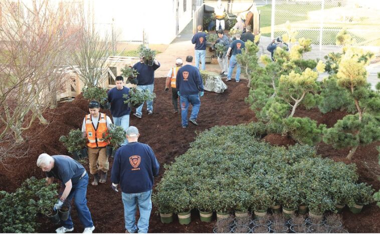 prisoners working in the prison Japanese garden