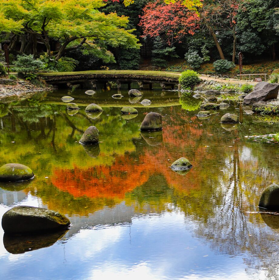 Koishikawa- Central Pond A-1 A serene Japanese garden featuring a pond with large stepping stones leading towards a small stone bridge. The still water reflects the vibrant autumn foliage, with shades of green, orange, and red. Trees and bushes surround the scene, creating a peaceful and picturesque atmosphere