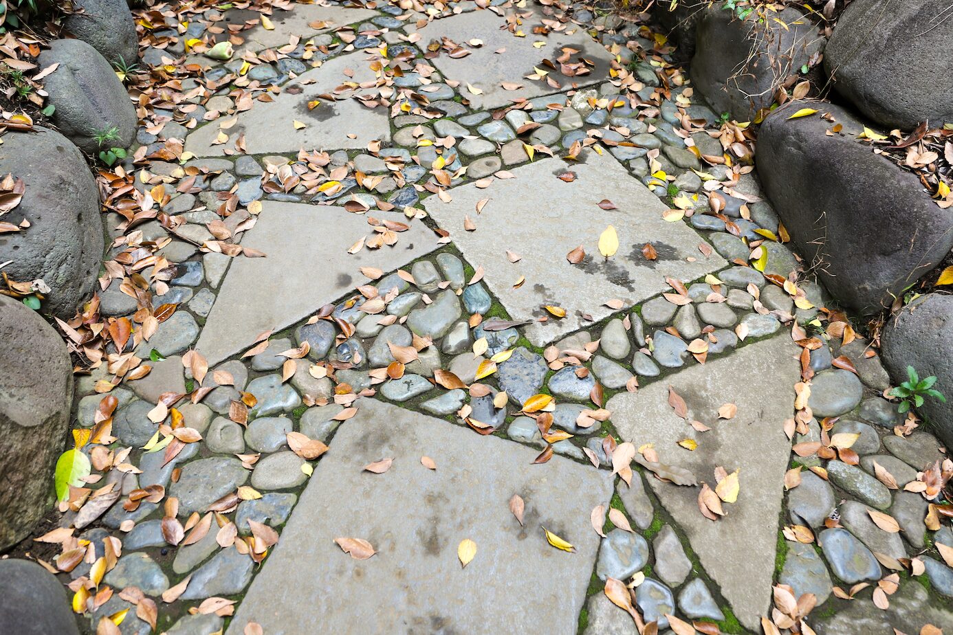 Koishikawa- Shapes in the Pavement A-3 A stone pathway in a Japanese garden, composed of irregularly shaped flat stones and smooth river pebbles, with fallen autumn leaves scattered across the surface. Large rocks border the pathway, and patches of moss grow between the stones, adding to the natural aesthetic.