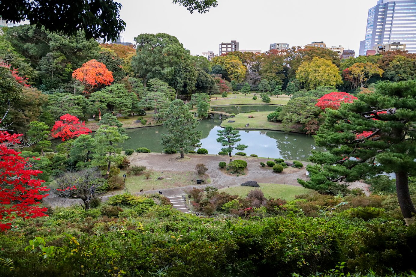 Rikugien- View of the Horia-Jima Island A-8 A panoramic view of Rikugien Garden in Tokyo, showcasing a tranquil pond with a small island, Horia-jima, surrounded by lush greenery and vibrant autumn foliage. Traditional Japanese landscaping elements, including carefully pruned pines, winding paths, and arched stone bridges, enhance the scene. The contrast between the natural beauty of the garden and the modern city buildings in the background highlights the harmony between tradition and urban life.