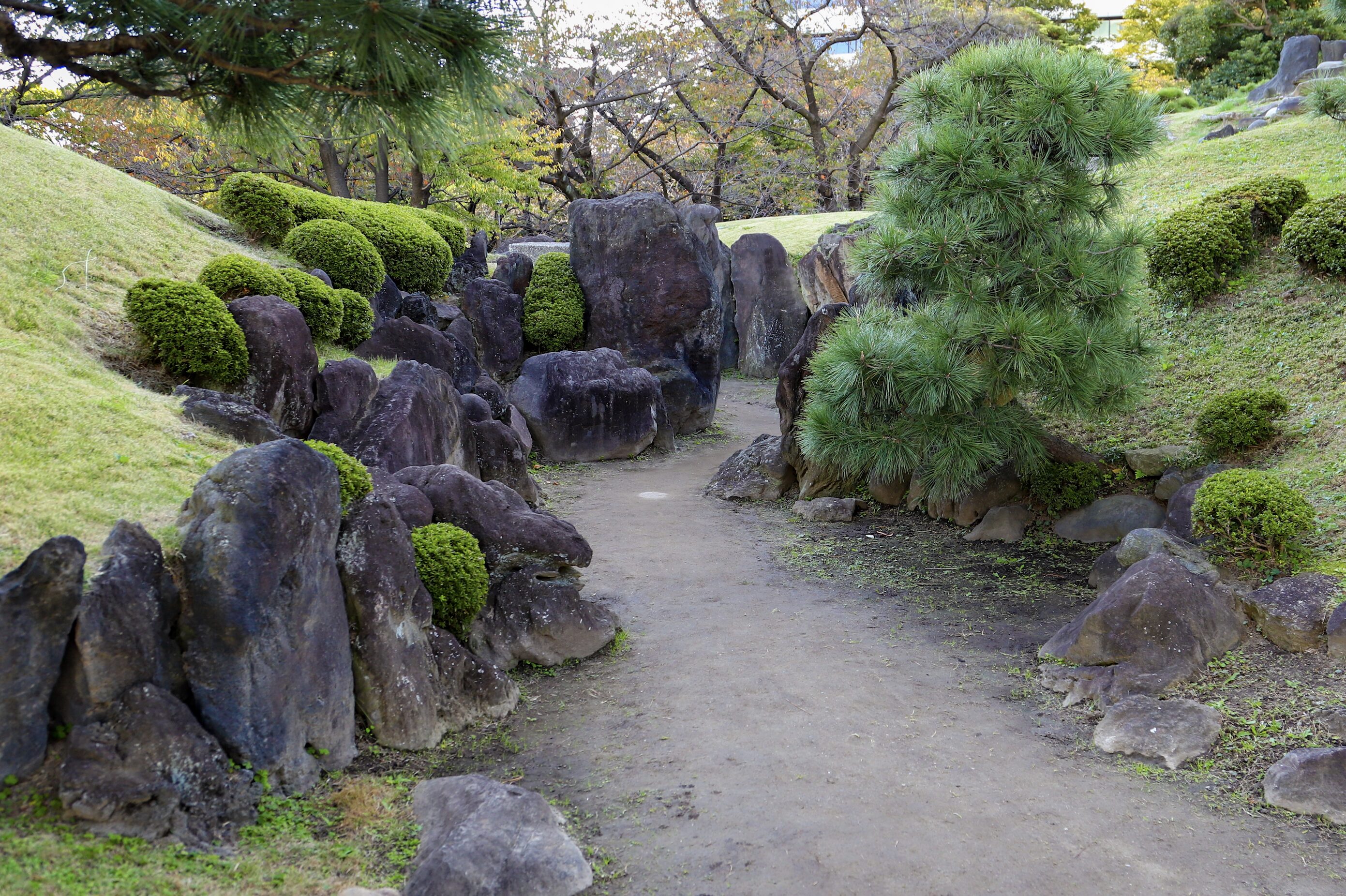 3. Kyu-shiba-rikyu- dry water course A scenic dry watercourse in a traditional Japanese garden, featuring a winding dirt path flanked by large, dark rocks and lush green shrubs. A small pine tree stands on the right, while gently sloping grassy hills and trees with autumnal foliage frame the background, creating a tranquil natural setting.