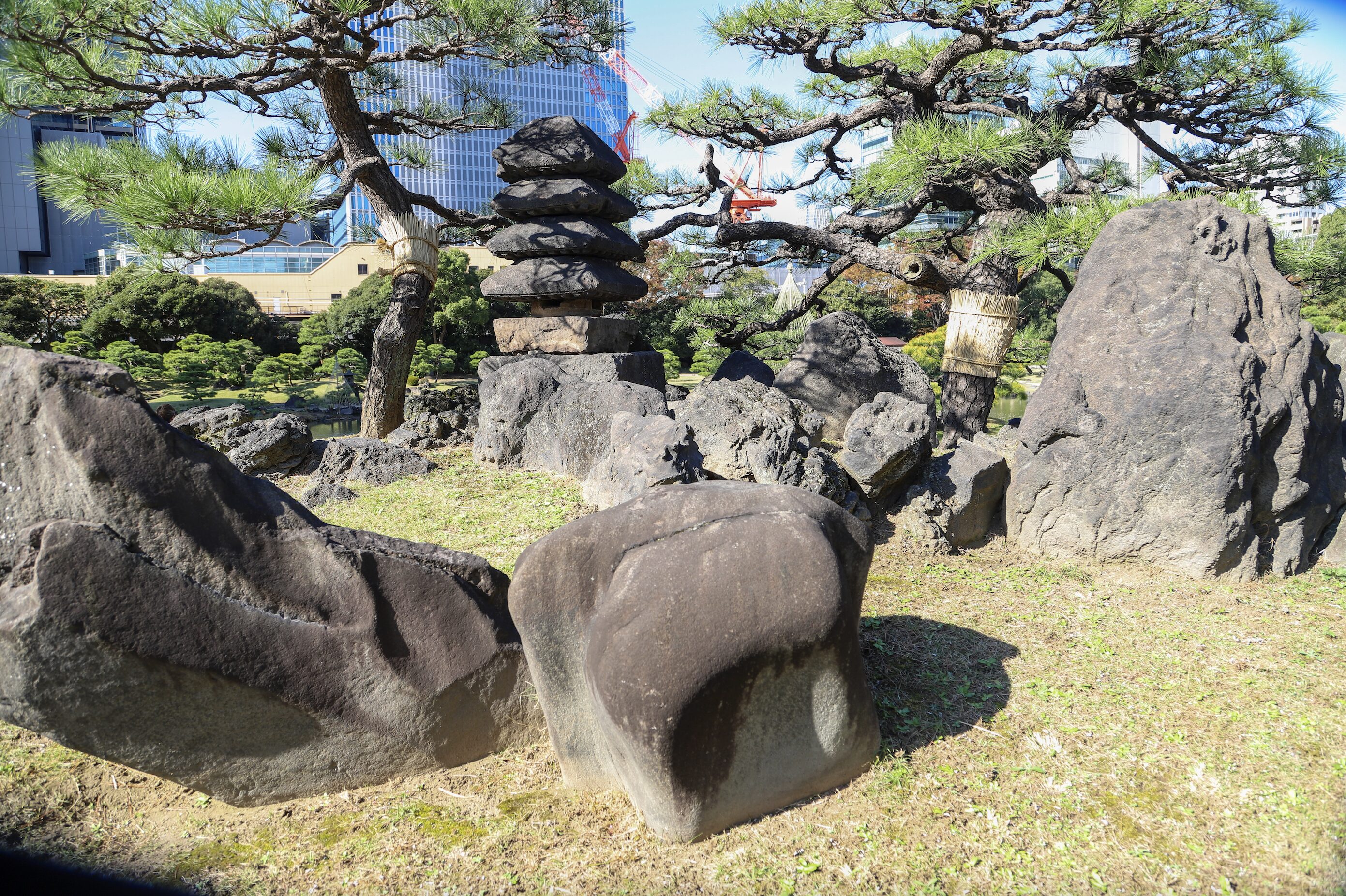 4. Kyu-shiba-rikyu- Mt. Reizrn A Japanese garden scene featuring a traditional rock arrangement, including a stone pagoda structure stacked with multiple flat rocks. The area is surrounded by large natural stones, lush green pine trees with carefully pruned branches, and a grassy landscape. In the background, modern glass buildings and construction cranes contrast with the serene, traditional setting. Some trees have protective straw wrappings around their trunks.