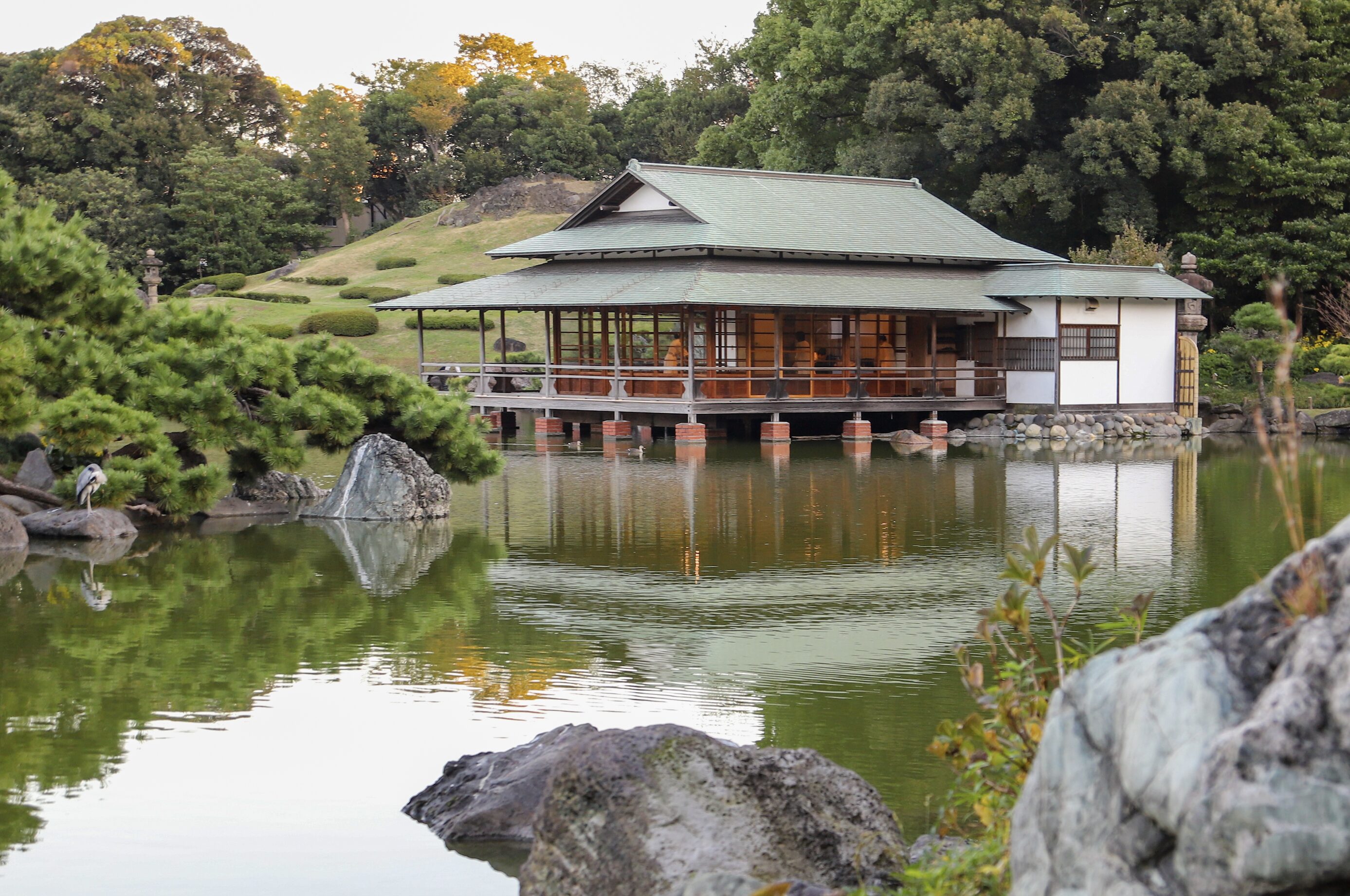 6. Kiyosumi- Mt Fuji with Azalea clouds behind the tea house A traditional Japanese tea house with a green-tiled roof and wooden sliding doors sits gracefully on stilts above a tranquil pond. The calm water reflects the tea house and surrounding lush greenery. In the foreground, rocks and a gently curving pine tree frame the scene, while a heron stands at the water’s edge. The background features a beautifully maintained Japanese garden with manicured shrubs, rolling hills, and stone lanterns, creating a peaceful and harmonious atmosphere.