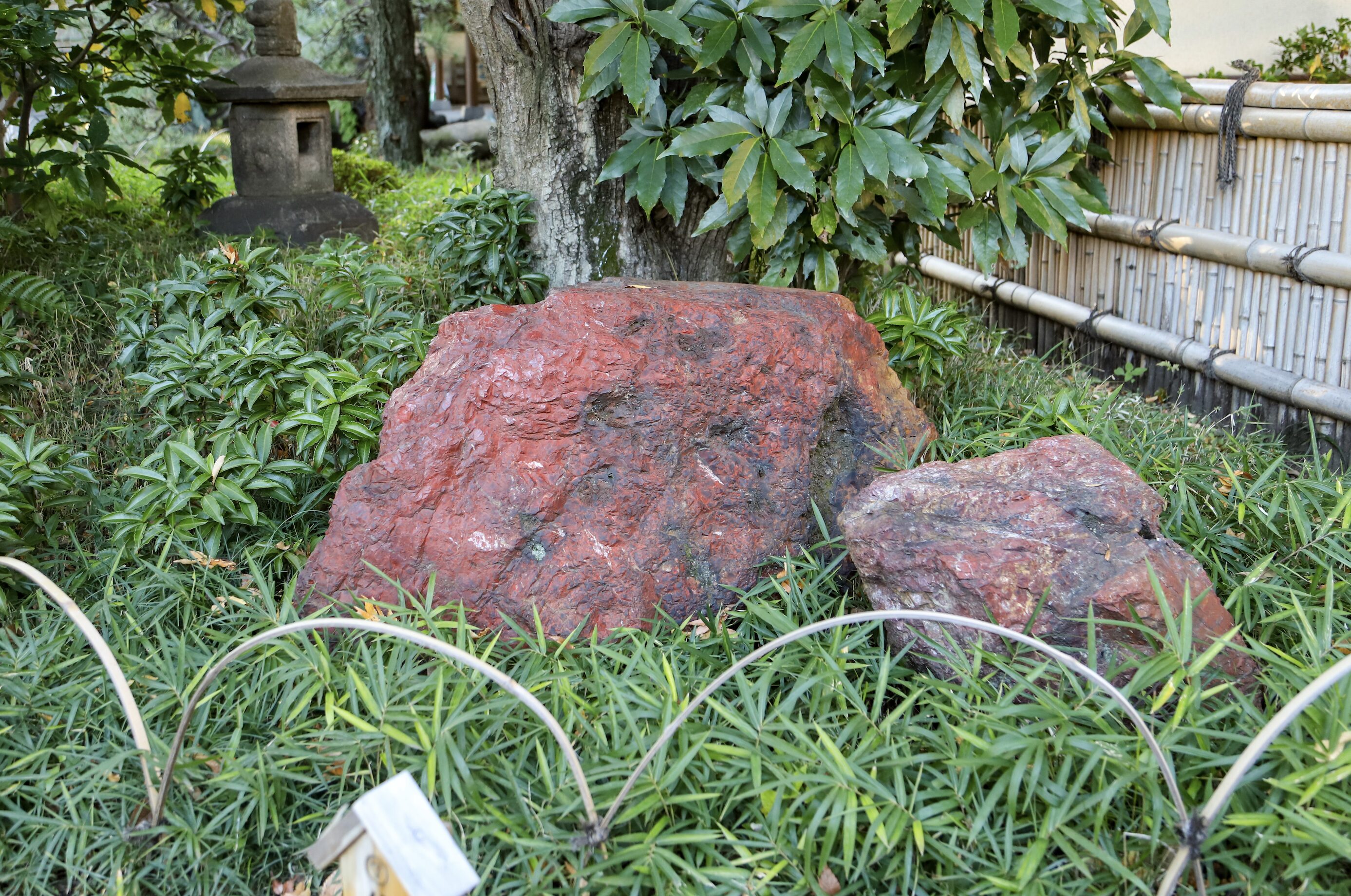 8. Kiyosumi- impresive stones A close-up of two large, reddish-brown stones with a rough texture, set among green grass and leafy plants in a Japanese garden. A traditional stone lantern is partially visible in the background, along with a bamboo fence and a tree with broad leaves.