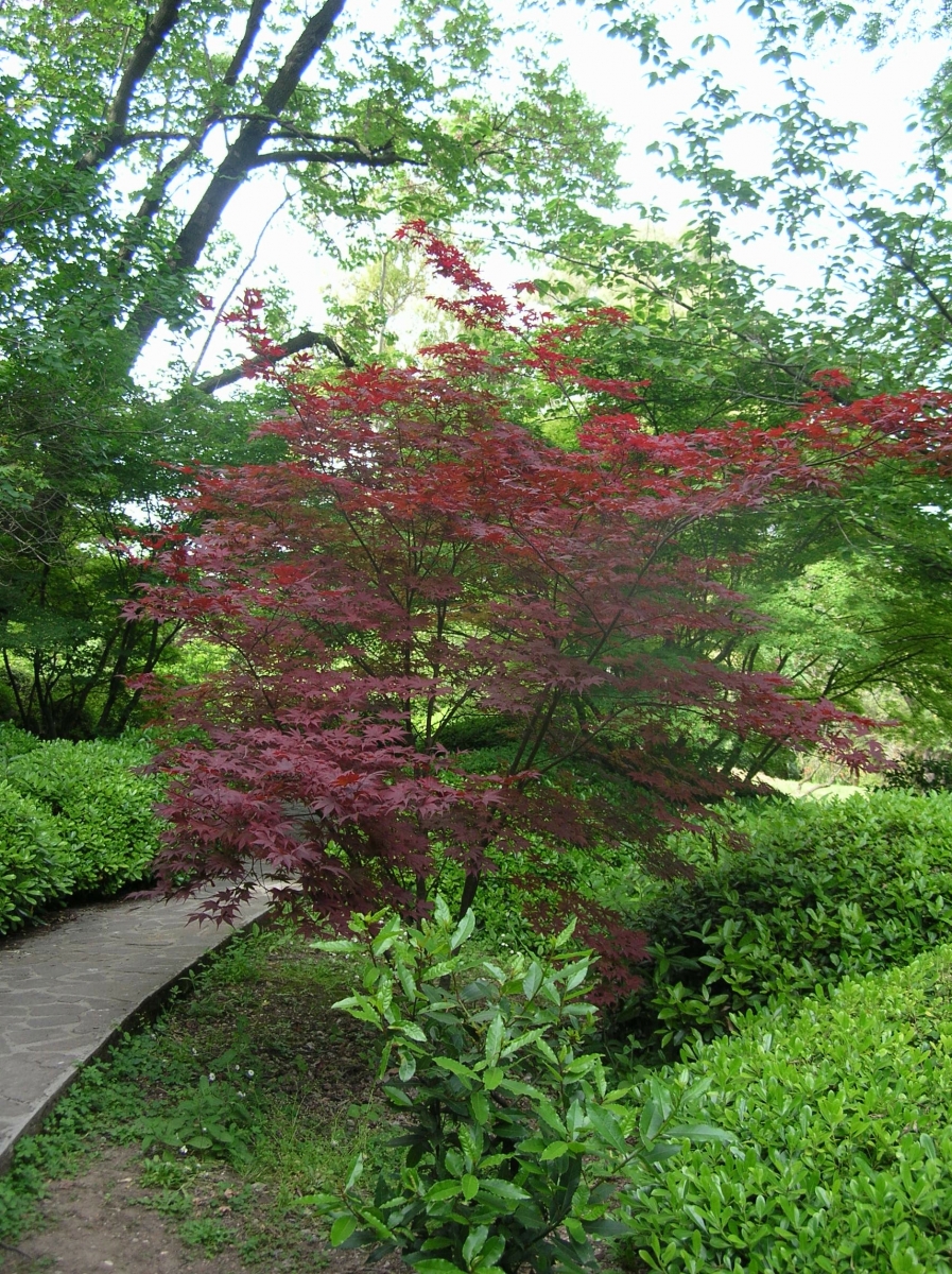 DSCN1374